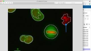 iviewer 1.0.0