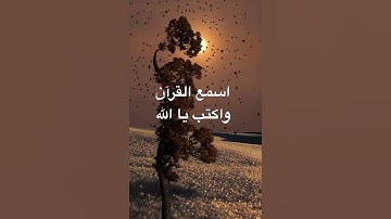 قرآن كريم بصوت جميل | محمد اللحيدان #قران_كريم #المصحف #اكسبلور #quran