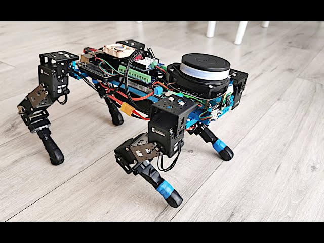 Walking quadruped robot - testing inverse kinematics and collision
