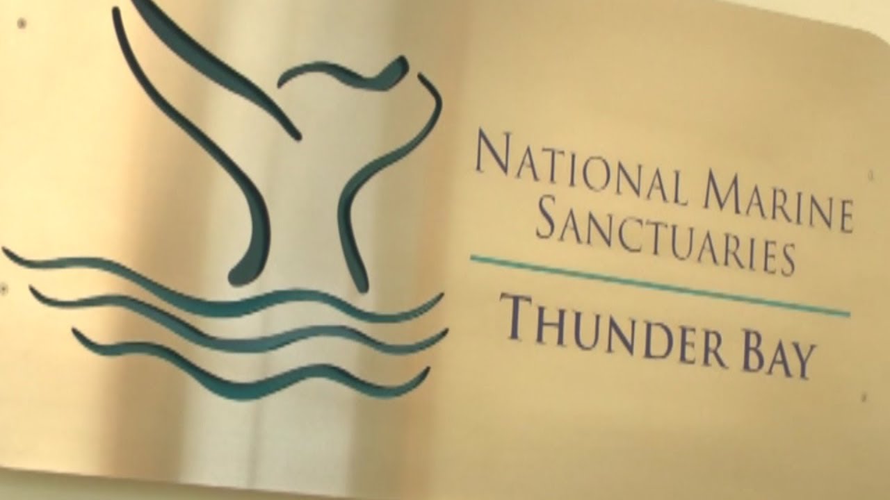 Sneak Peek for the Thunder Bay International Film Festival