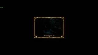 Diablo 2 Resurrected Reshade 21:9 3440x1440 100hz AMD 1950x 2x RTX 2080 ti sli DTS sound 5.1 32bit