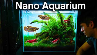 I Made A Nano Aquarium Ecosystem, Here’s How! by Terrarium Designs 53,238 views 5 months ago 12 minutes, 1 second