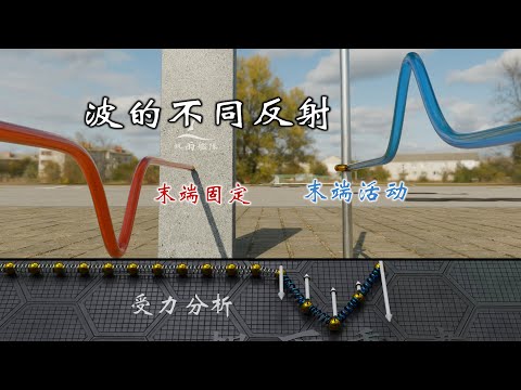 Fixed end vs. free end: What happens during wave reflection?