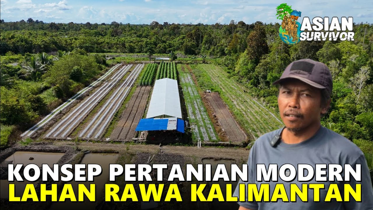PETANI ASAL NGANJUK SULAP LAHAN RAWA TRANSMIGRASI JADI PERTANIAN MODERN DI IBUKOTA KALIMANTAN UTARA