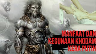 MANFAAT DAN KEGUNAAN KHODAM KERA PUTIH ATAU KHODAM HANOMAN