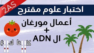 إختبار علوم الفصل الثاني ثانية ثانوي حول أعمال مورغان + الADN   screenshot 2