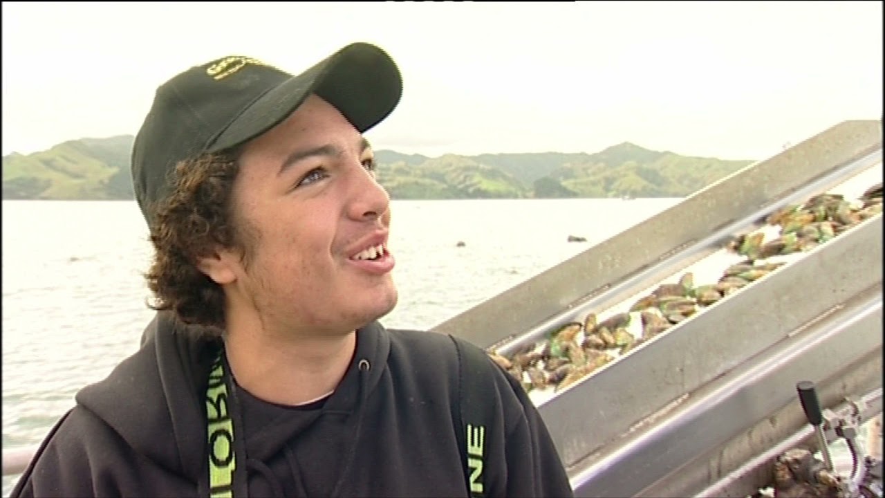 Карьера в аквакультуре: выращивание мидий в Новой Зеландии