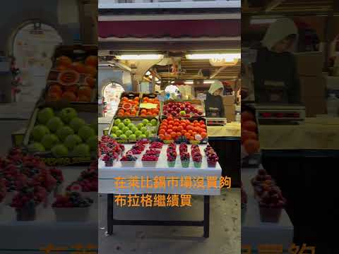 #東歐 #捷克 #布拉格 #布拉格廣場 #火藥塔 #查理橋