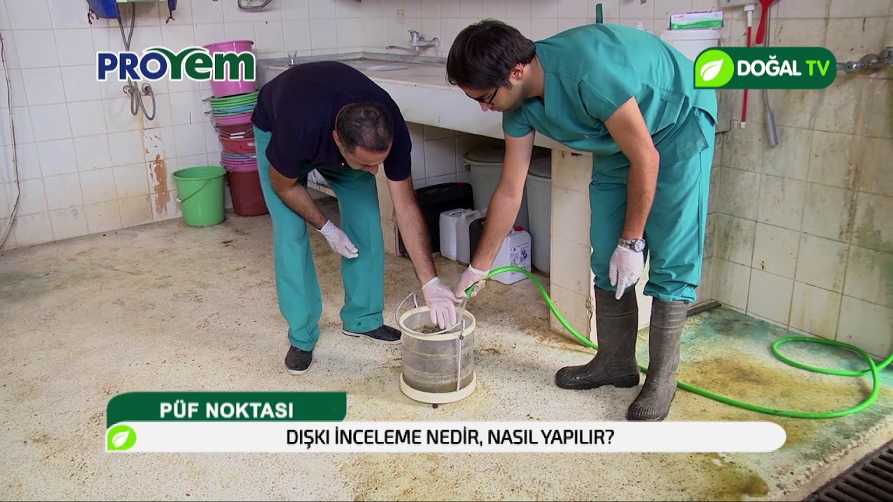 Dışkı inceleme nedir nasıl yapılır?