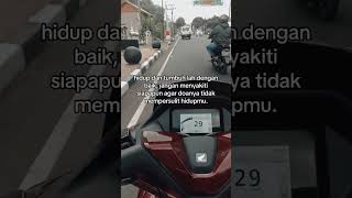 IMG 6447