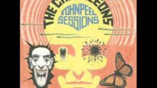 The Chameleons - Things I Wish I'd Said (John Peel Sessions) chords