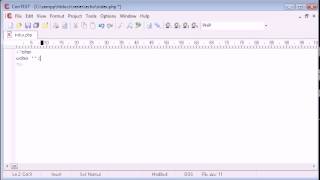 Beginner PHP Tutorial   9   echo flv Profile