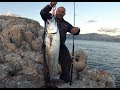 Monster Albacore on Light Shore Jigging! Feat ΖΕΝΑQ MUTHOS 105 Out Range & DUO Drag Metal
