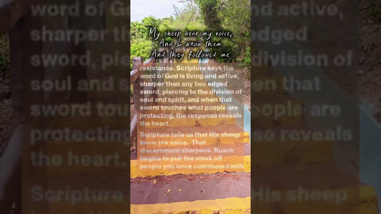 Его овцы слышат Его голос, узнают Его и следуют за Ним. 