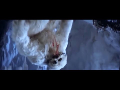 The Wampa Strikes Back