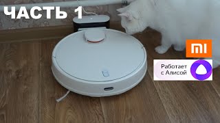 Робот-пылесос Xiaomi Robot Vacuum S12 EU Глобальная версия MiHome Россия, работает с Алисой. ЧАСТЬ 1