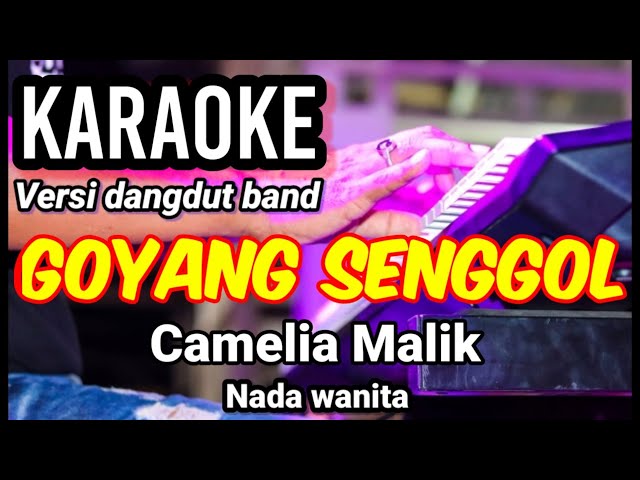 GOYANG SENGGOL - Camelia Malik | Karaoke dut band mix nada wanita | Lirik class=