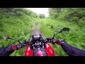 Into the Woods on a Honda nc700x