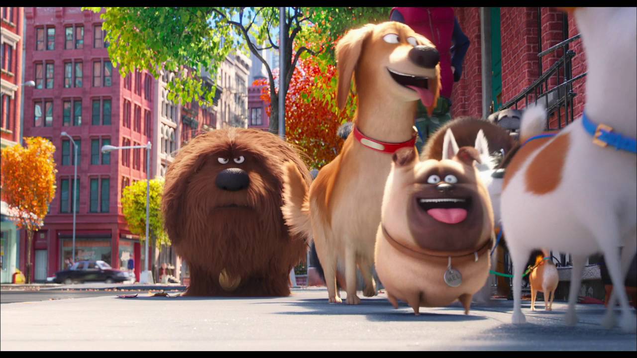 The Secret Life of Pets: Writer Brian Lynch Blu-ray/DVD Bonus Feature | ScreenSlam