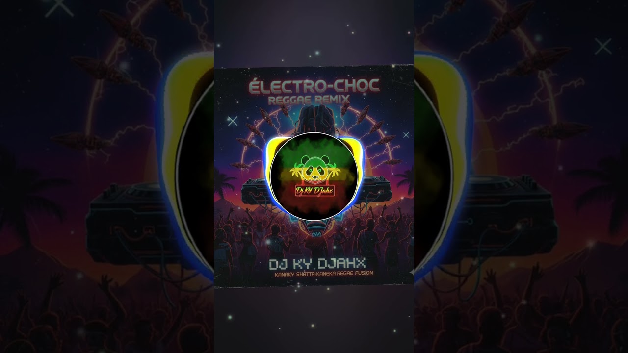 DJ Ky Djahx - Électro-Choc (Reggae Remix) |