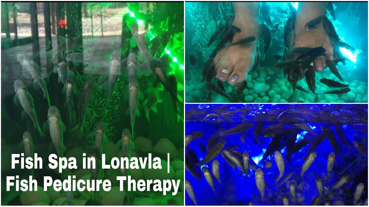 Fish Spa at Lonavla Sunil's Wax Museum Mall Fish Spa in