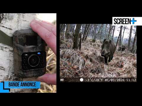 Hunters 2.0: High-Tech and Hunting on Seasons