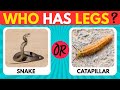 Guess the Animal Name 🐵, Food 🍩 &amp; Country 🗺️ | Fun Quiz for Curious Kids!