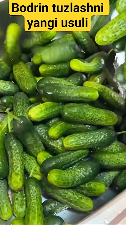 Download lagu Bodrin tuzlashni yangi usuli #mazzalitaomlar #food #tuzlamalar,