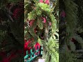 Raz 36" or 46" Real Feel Potted Lighted Norfolk Pine Christmas Tree