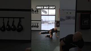 Karate Back Sweep #martialarts #trending #karate #Tutorial #shorts