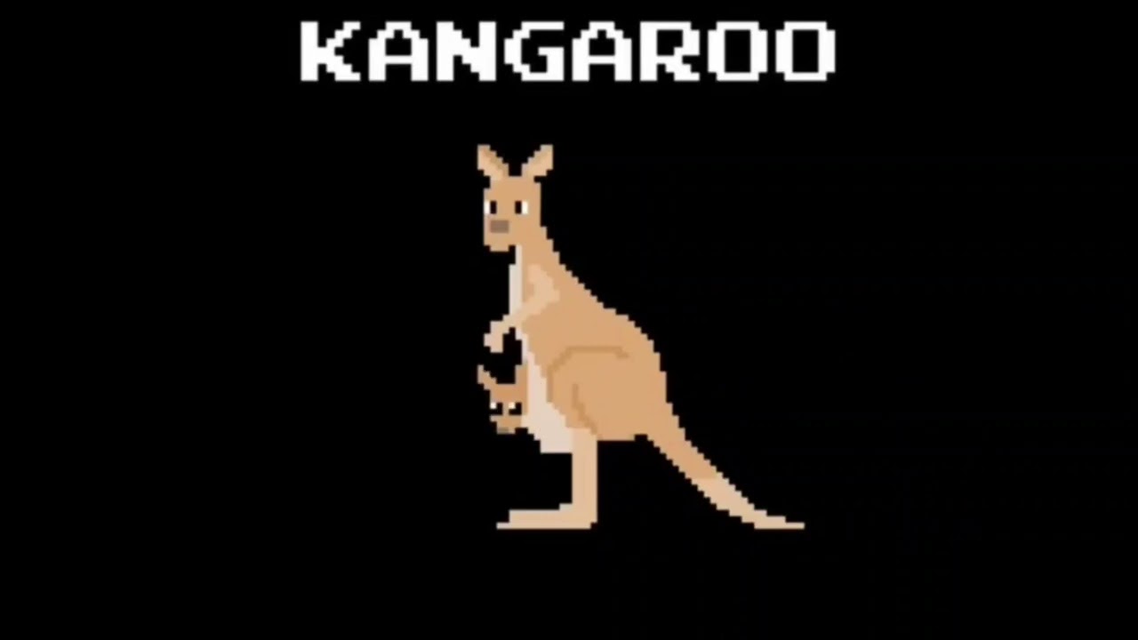 Learn ABC'S - Real Animal Alphabet