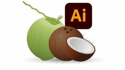 Coconut vector - Adobe Illustrator Tutorial