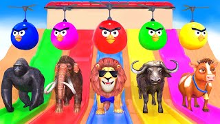 5 Giant Duck, Monkey, Piglet, chicken, bear, cat, cow, Sheep, Transfiguration funny animal 2023