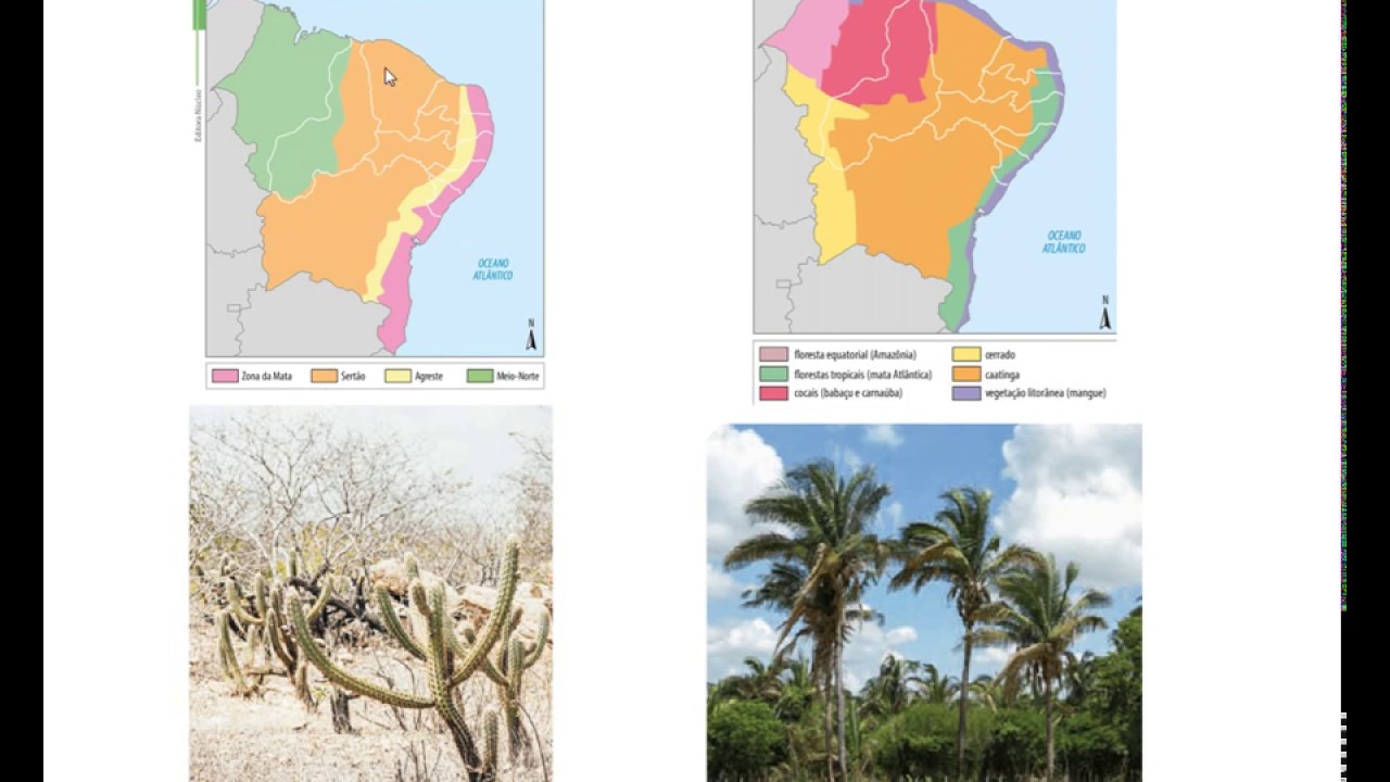 Qual O Clima Predominante Na Região Nordeste