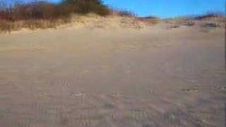 Jockey's Ridge 360 view