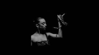 Zevia - poison [slowed   reverb]