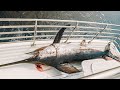 Catching a daytime surface swordfish on live bait  the rarest catch in the world