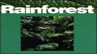 Paul Hardcastle - Rainforest (1985) chords