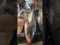 Happy Bhogali Bihu & Makar Sankranti, Biggest Fish Local Market, Special Day