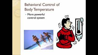 Thermoregulation Part 2
