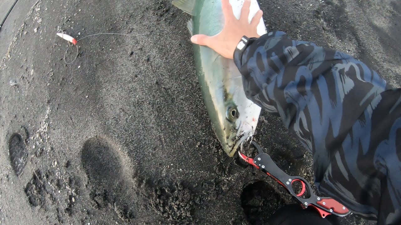 2025 遠征まとめ5日目 2/2