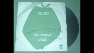 SENEM DİYİCİ - ÇIT ÇIT (1969 Yankı plak)