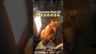 Yanıyorsun Fuat Abi