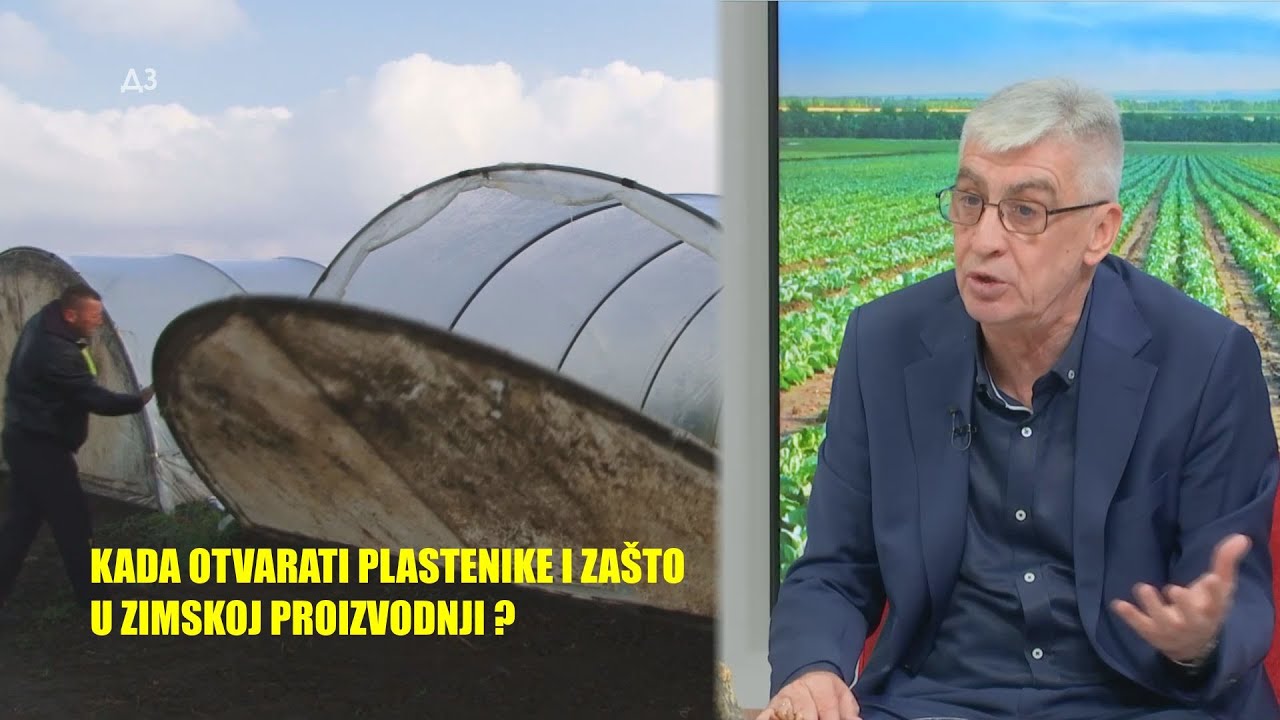 PLASTENICI PREKO ZIME -  salata SPANAĆ praziluk - kako se prilagoditi   AZOT I UGLJEN DIOKSID