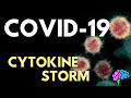 The COVID-19 Cytokine Storm Explained