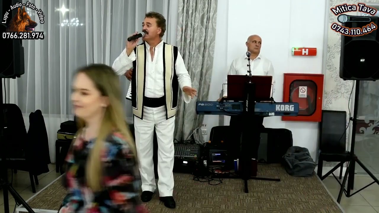 Mitică TAVĂ - Program de petrecere (2020)