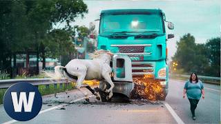 100 Unbelievable Animal Collisions That Shook Drivers To The Core !