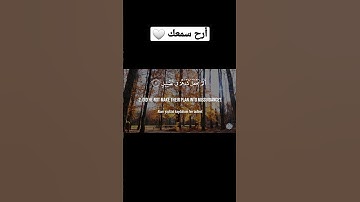 سورة( الفيل )بصوت جميل جدا للقارئ زياد الريمي أرح سمعك بصوت عذب وجميل 🎧✨