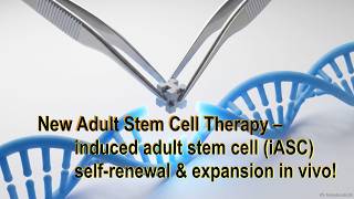 Tumor-free Adult Stem Cell (ASC) Therapy – Understanding the miR-302 Mechanisms