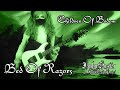 【Children of Bodom】 - 「Bed of Razors」GUITAR COVER (Full Instrumental) † BabySaster